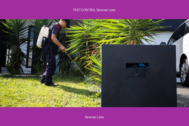 PEST CONTROL Saranac Lake